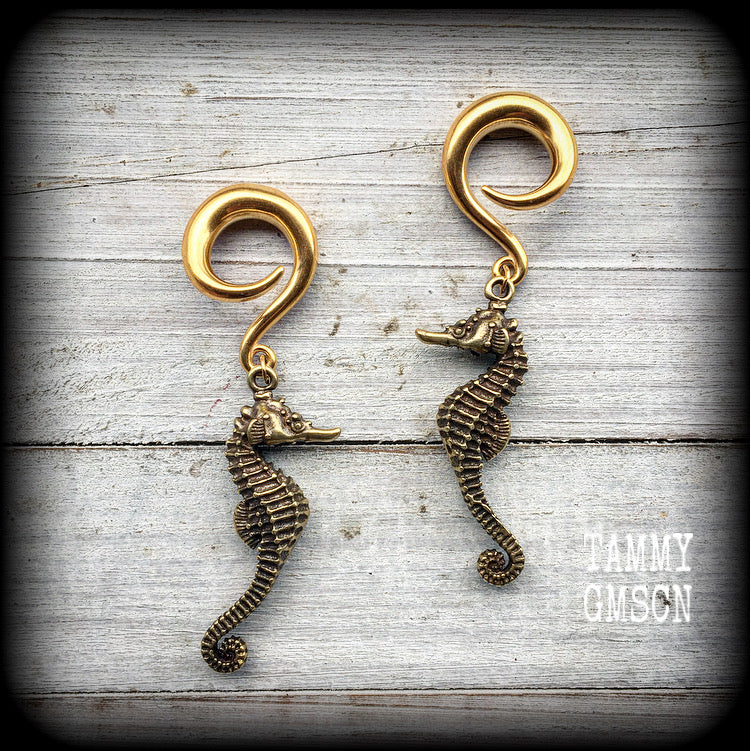 Seahorse gauged earrings