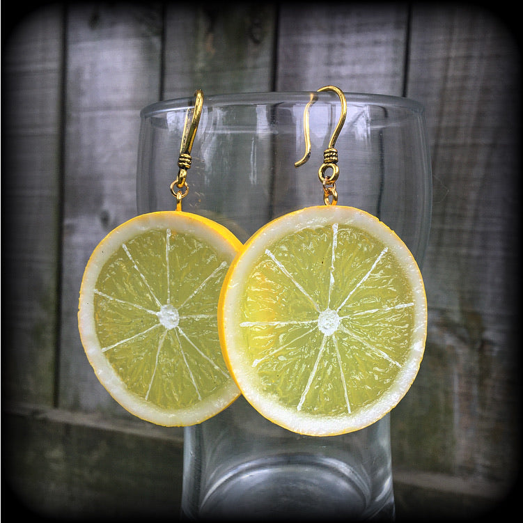 Lemon earrings-Fruit slice earrings