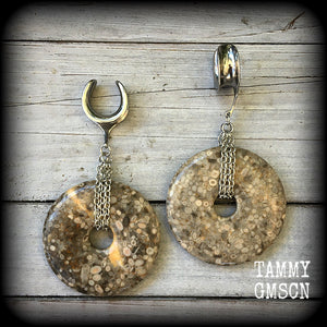 Crinoid fossil gauged earrings-Ear weights