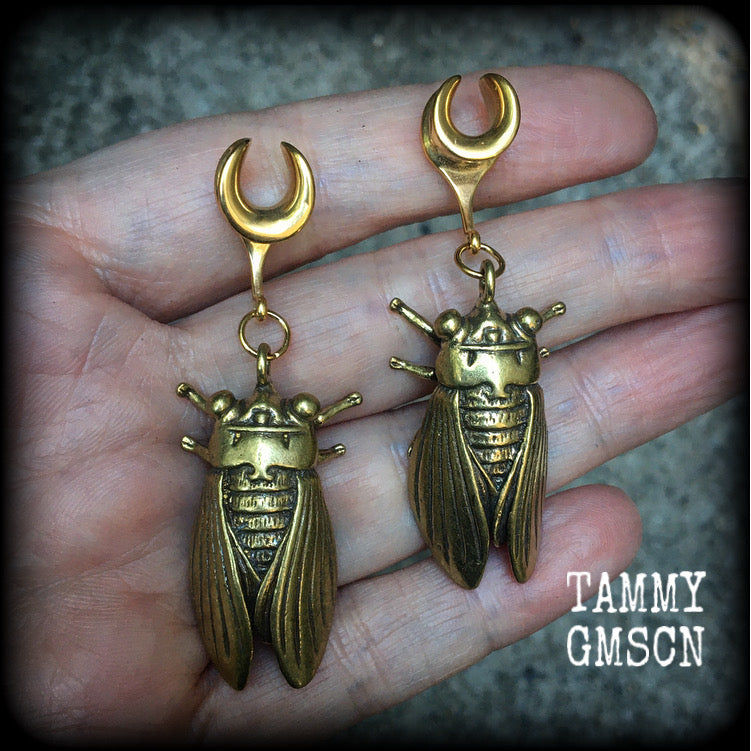 Brass cicada ear hangers Insect ear weights 0 gauge ear weights Brass ear weights Gauged earrings 6mm 8mm 10mm 12mm 14mm 16mm 19mm 22mm 25mm 28mm 30mm Stretched ears Stretched lobes Insect earrings Bugs earrings Cottagecore earrings Fairycore earring