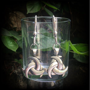 Odins horn earrings-Ear hangers