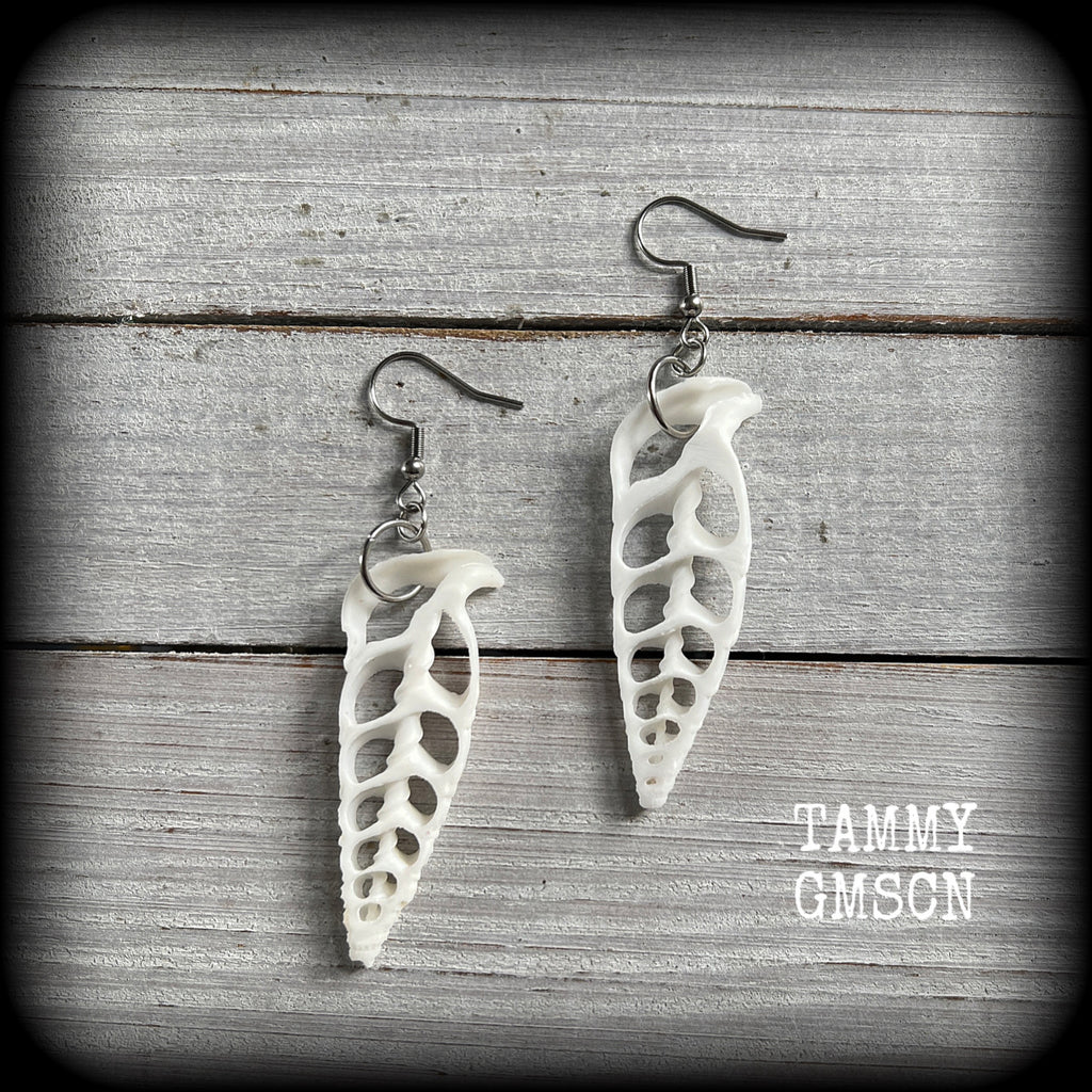 Shell slice earrings-Sea shell earrings