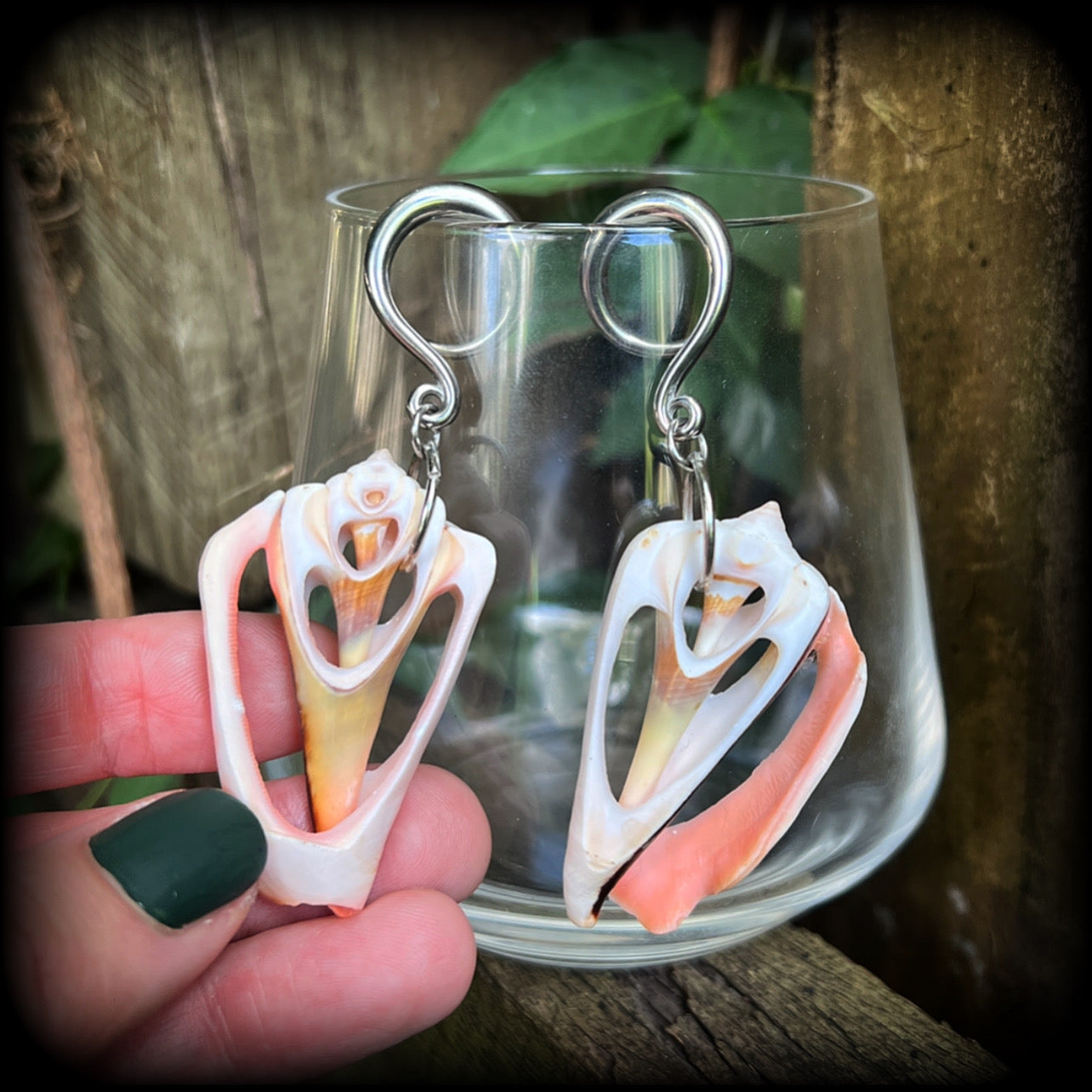 Pink conch shell slice gauged earrings