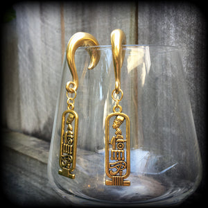 Cartouche gauged earrings