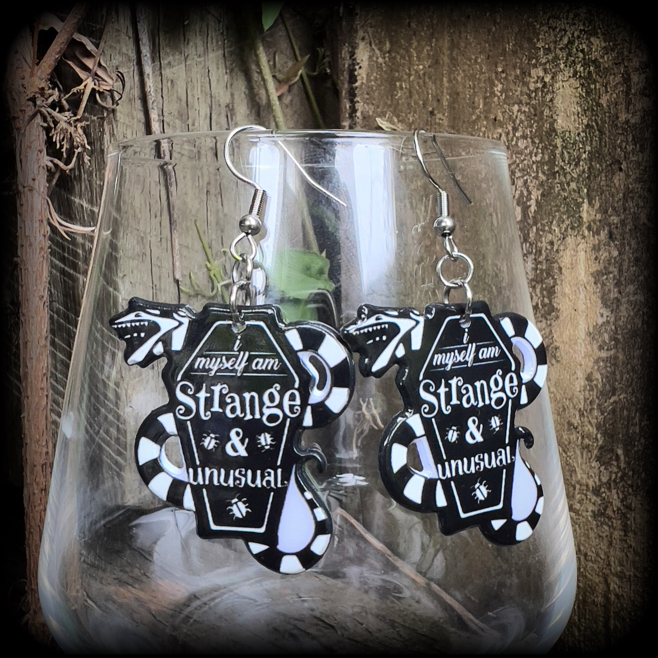 Beetlejuice coffin earrings 