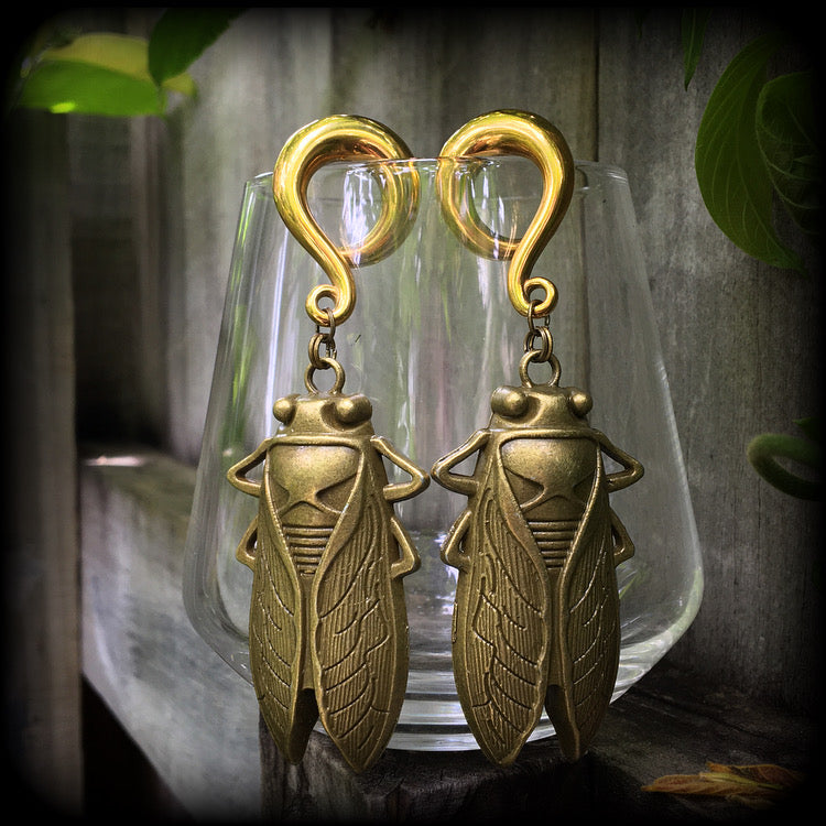 Bronze cicada earrings-Locust gauged earrings