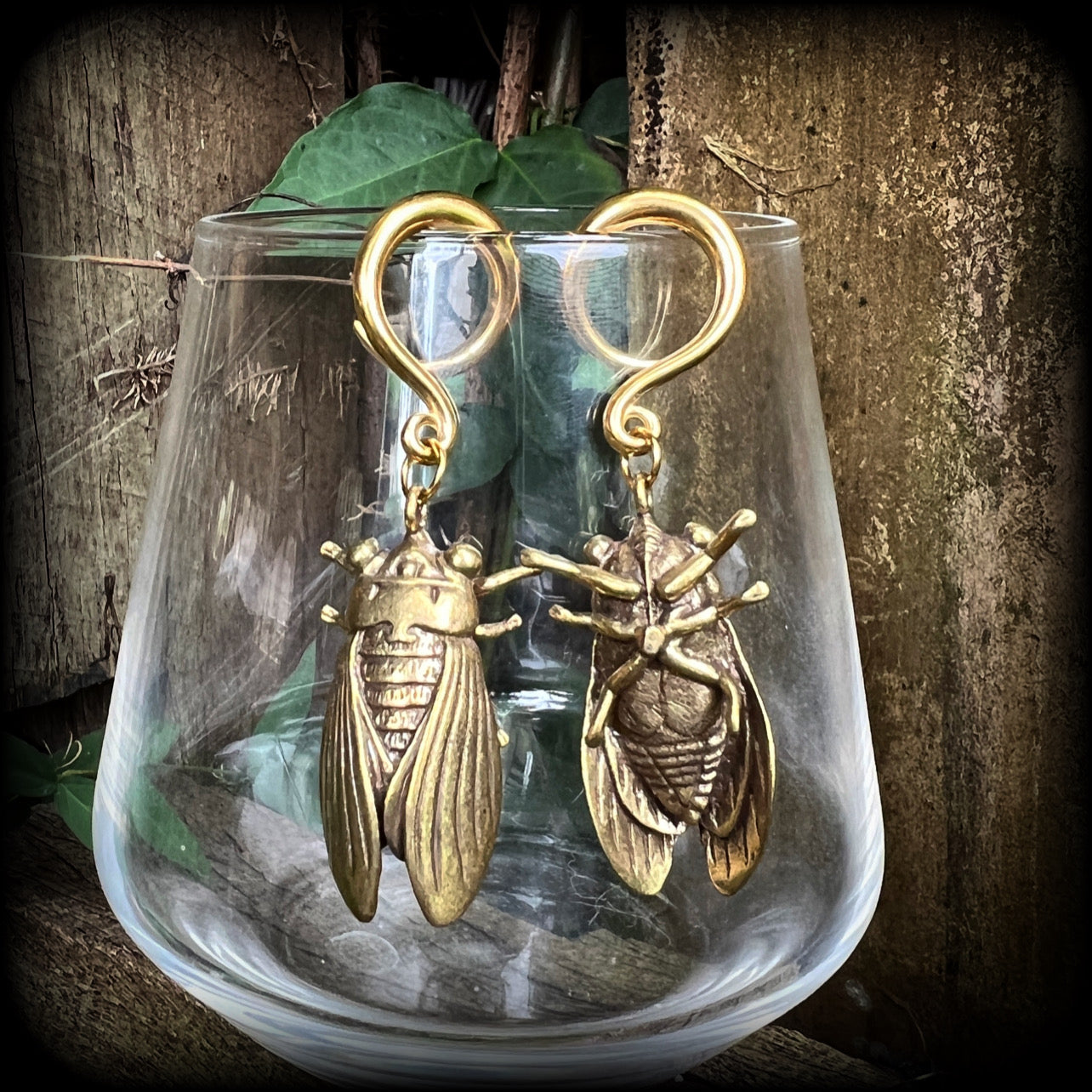 Brass cicada ear weights Insect ear weights 6 gauge ear weights Ear hangers Stretched lobes 6g 2g 0g 00g 1/2” 9/16” 5/8” 3/4” 7/8” 1” 1.10” Body jewellery Gauged ears Gauged earrings