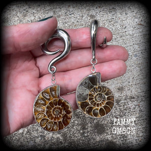 Ammonite earrings Ammonite ear hangers Ammonite ear weights Ammonite jewelry Ammonite jewellery Fossil earrings Fossil jewelry Fossil ear weights Gauged earrings Nautilus jewelry Nautilus earrings 6mm 8mm 10mm 12mm 14mm 16mm 19mm 22mm 25mm 28mm 30mm 