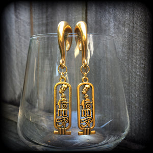 Cartouche gauged earrings