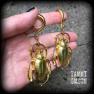 Insect earrings