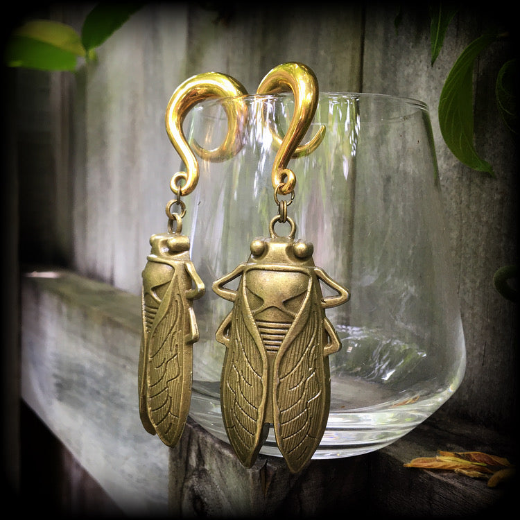 Bronze cicada earrings-Locust gauged earrings