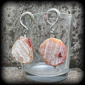 Raw agate slice gauged earrings