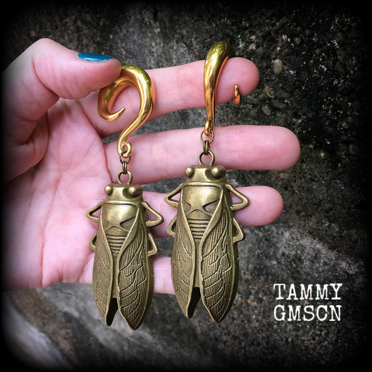 Bronze cicada earrings-Locust gauged earrings