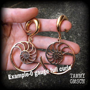 This is a pair of gorgeous pink titanium nautilus spiral earrings, available on a range of hooks and clasps for pierced ears and stretched lobes.