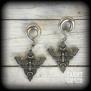 Deaths head moth ear hangers-Insect ear weights