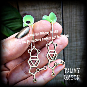 MDMA earrings-Molecule earrings