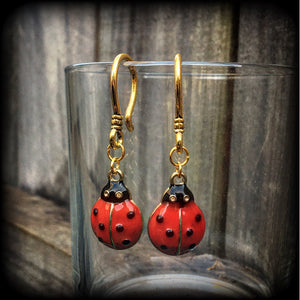 Ladybug earrings