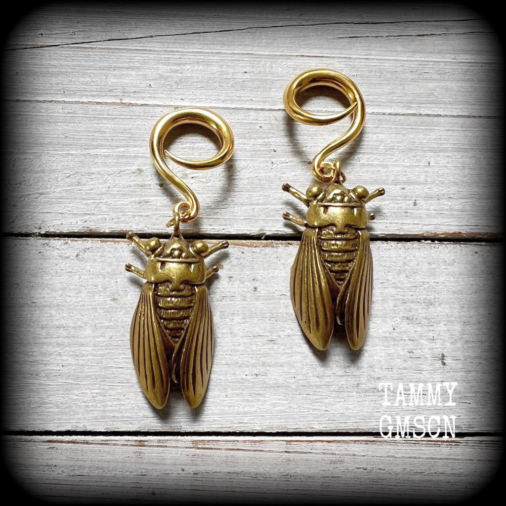 Brass cicada ear weights Insect ear weights 6 gauge ear weights Ear hangers Stretched lobes 6g 2g 0g 00g 1/2” 9/16” 5/8” 3/4” 7/8” 1” 1.10” Body jewellery Gauged ears Gauged earrings