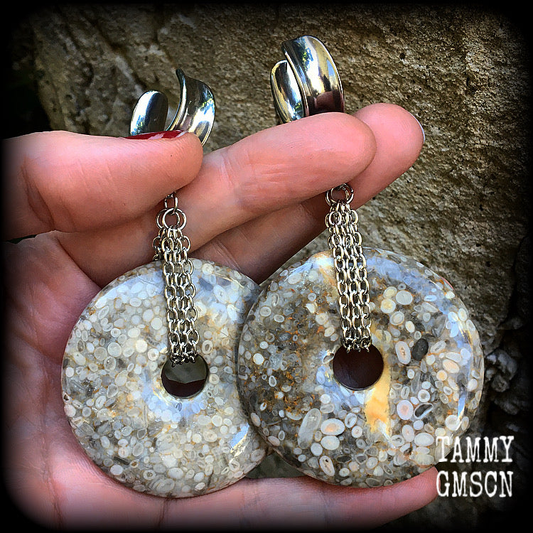 Crinoid fossil gauged earrings-Ear weights