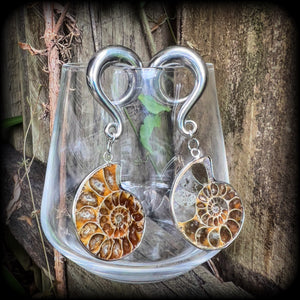 Ammonite earrings Ammonite ear hangers Ammonite ear weights Ammonite jewelry Ammonite jewellery Fossil earrings Fossil jewelry Fossil ear weights Gauged earrings Nautilus jewelry Nautilus earrings 6mm 8mm 10mm 12mm 14mm 16mm 19mm 22mm 25mm 28mm 30mm 