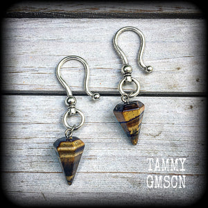 Tigers Eye earrings-Ear hangers