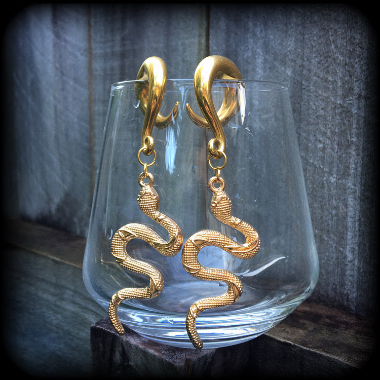 Snake ear weights