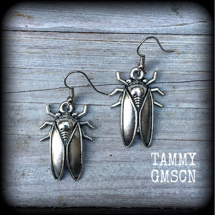 Insect earrings