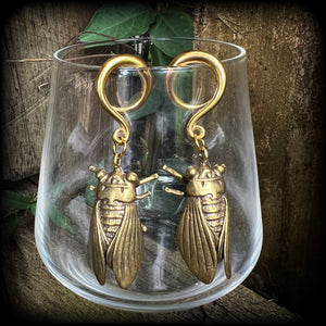 Brass cicada ear weights Insect ear weights 6 gauge ear weights Ear hangers Stretched lobes 6g 2g 0g 00g 1/2” 9/16” 5/8” 3/4” 7/8” 1” 1.10” Body jewellery Gauged ears Gauged earrings