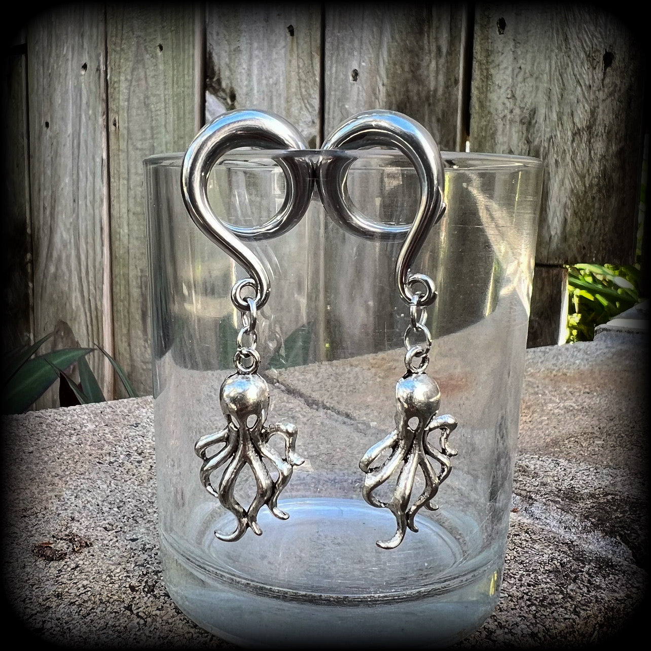 Octopus gauged earrings 