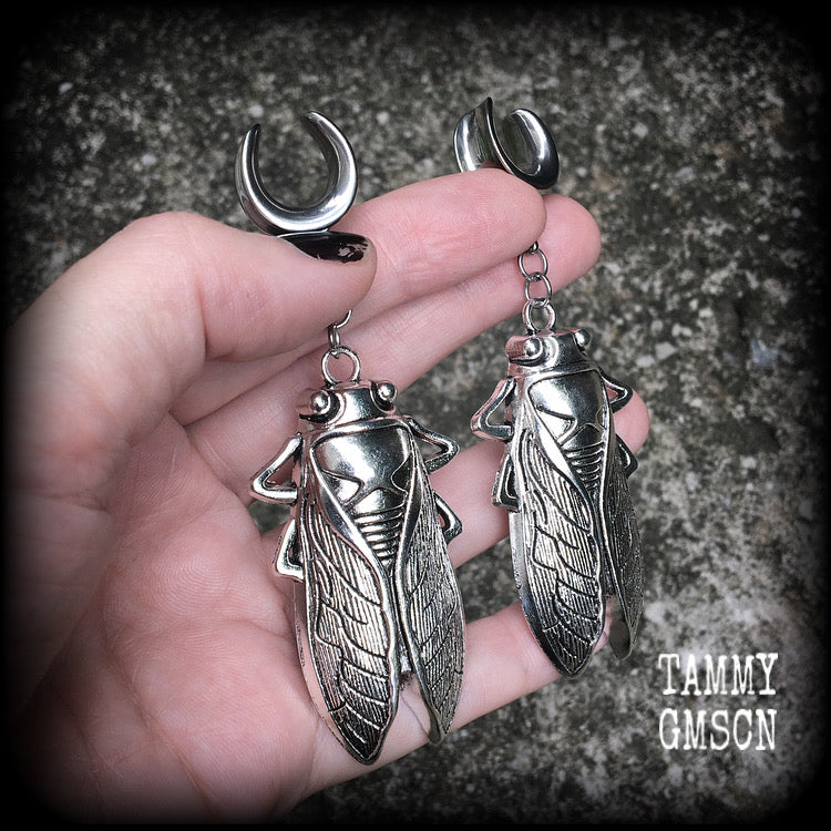 Silver cicada gauged earrings-Insect ear hangers