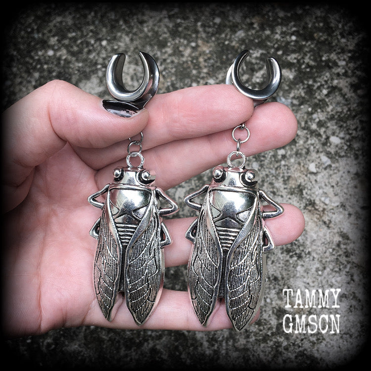 Silver cicada gauged earrings-Insect ear hangers