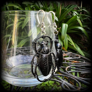 Scarab beetle earrings-Insect ear hangers