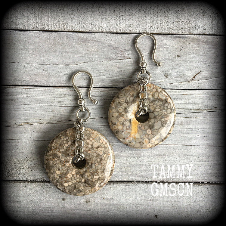 Fossilized coral earrings-Ear weights