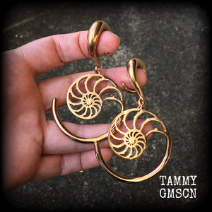 This is a pair of gorgeous pink titanium nautilus spiral earrings, available on a range of hooks and clasps for pierced ears and stretched lobes.