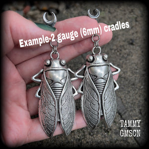 Silver cicada gauged earrings-Insect ear hangers