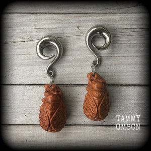 These beautiful gauged earrings feature a carved peach wood cicada, weighing in at 32 grams a piece, and measuring just under 10cms from tip to tip.
This pair has been made on 00 gauge (10mm) surgical steel full curl hooks, for stretched lobes.
