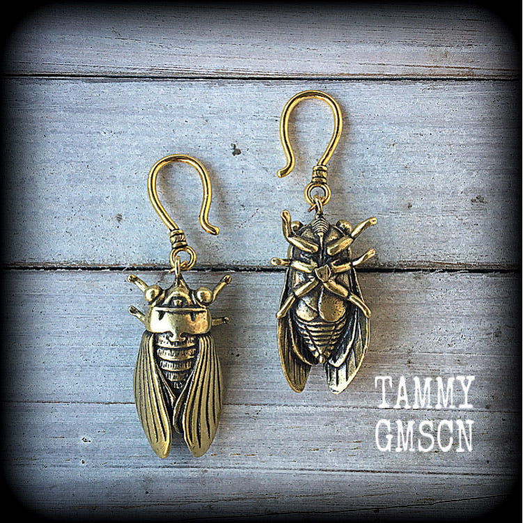 Locust earrings Cicada earrings Bugs earrings Locust earrings Insect earrings Pierced ears Ear hangers Stretched lobes Gauged earrings Moss goth Cottagecore Entomology Curiosities