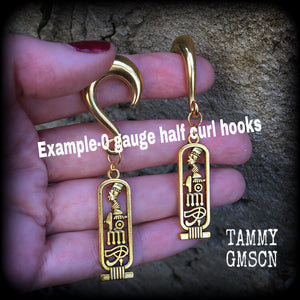 Cartouche gauged earrings