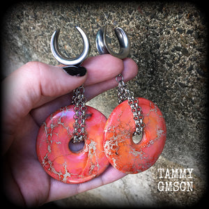 Ocean jasper ear weights