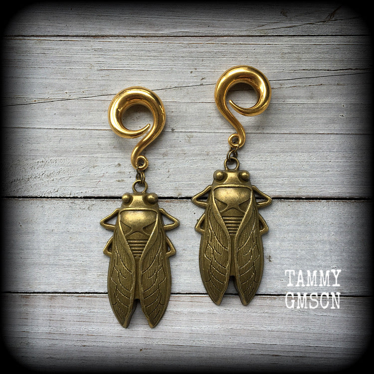 Bronze cicada earrings-Locust gauged earrings