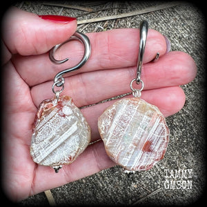 Raw agate slice gauged earrings