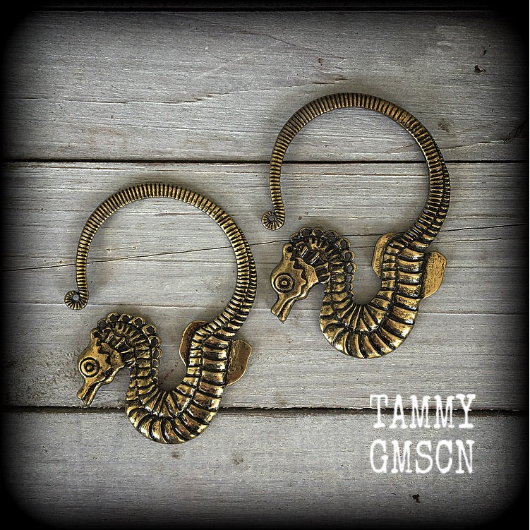 Seahorse tunnel earrings-Ear weights