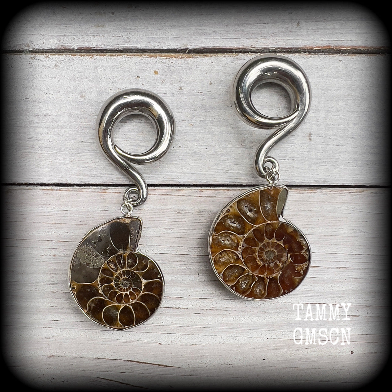 Ammonite earrings Ammonite ear hangers Ammonite ear weights Ammonite jewelry Ammonite jewellery Fossil earrings Fossil jewelry Fossil ear weights Gauged earrings Nautilus jewelry Nautilus earrings 6mm 8mm 10mm 12mm 14mm 16mm 19mm 22mm 25mm 28mm 30mm 