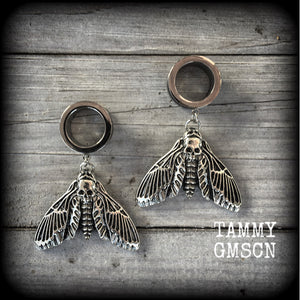 Deaths head moth tunnel earrings