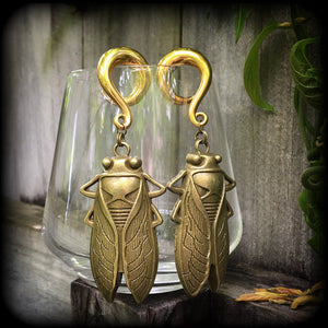 Bronze cicada earrings-Locust gauged earrings