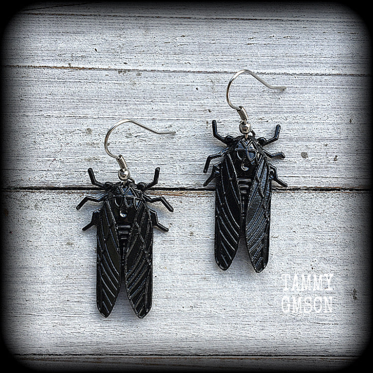 Black cockroach earrings-Insect earrings