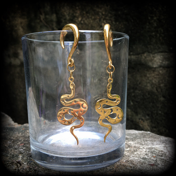 Celestial snake gauged earrings