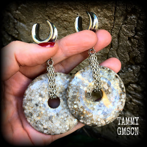 Crinoid fossil gauged earrings-Ear weights