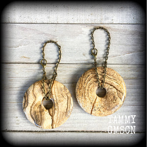 Picture Jasper earrings-Ear hangers