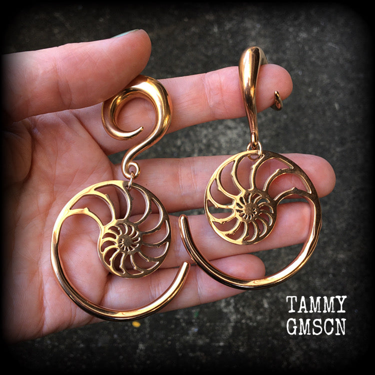 This is a pair of gorgeous pink titanium nautilus spiral earrings, available on a range of hooks and clasps for pierced ears and stretched lobes.